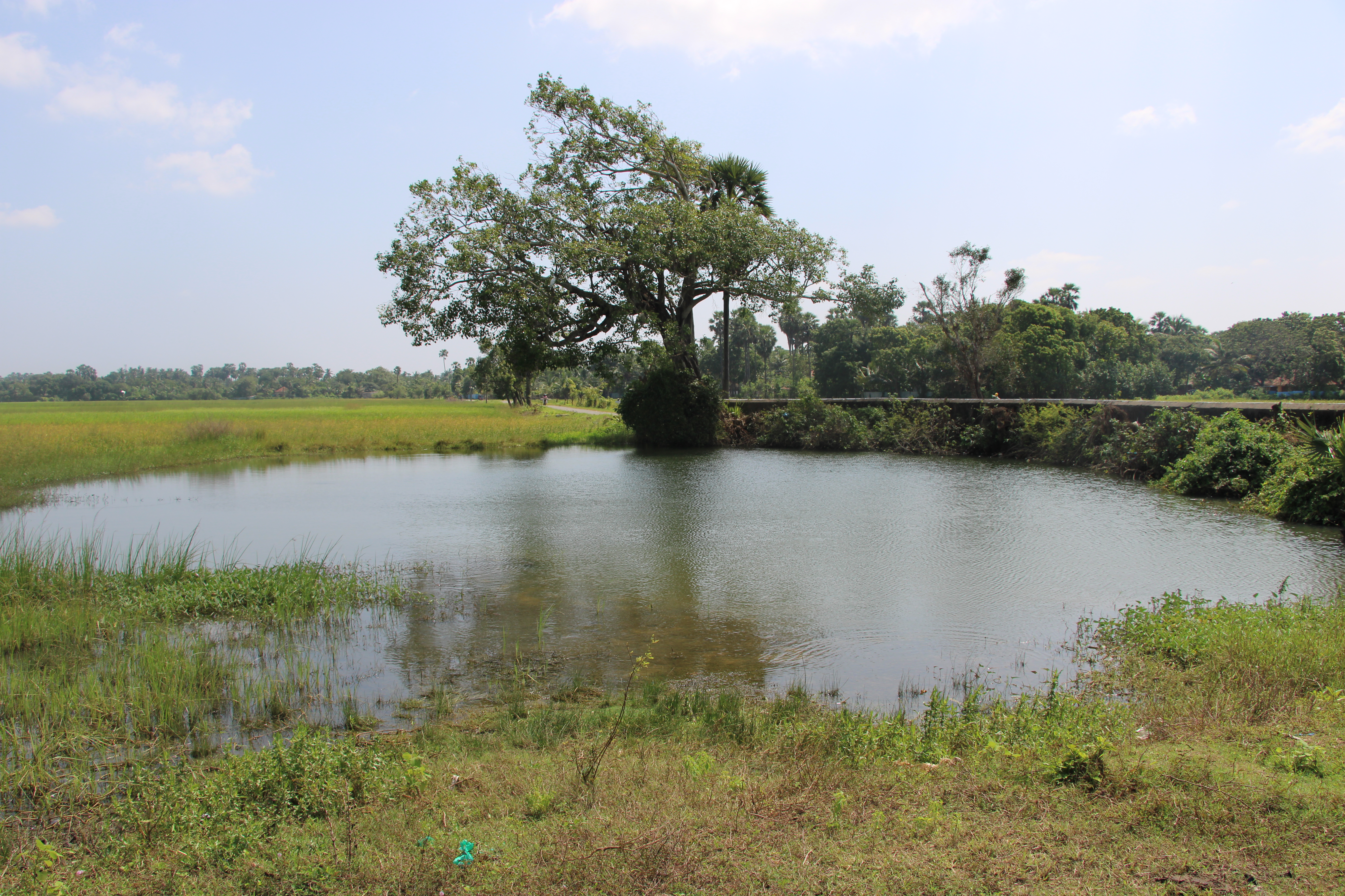 function/uploads/cultural/Manipay Idikundu Sinkhole.JPG